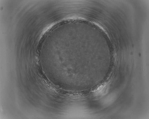 X0000070240823200606051122