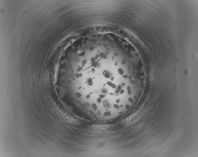 X0000070240825200606051122