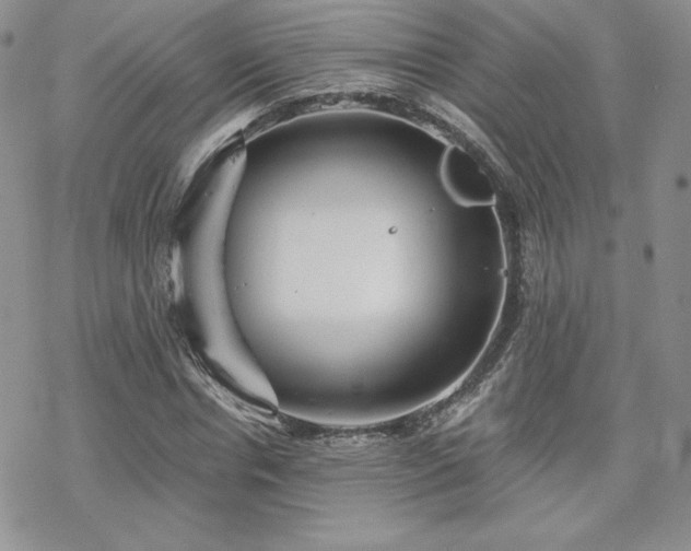 X0000070240826200606051122