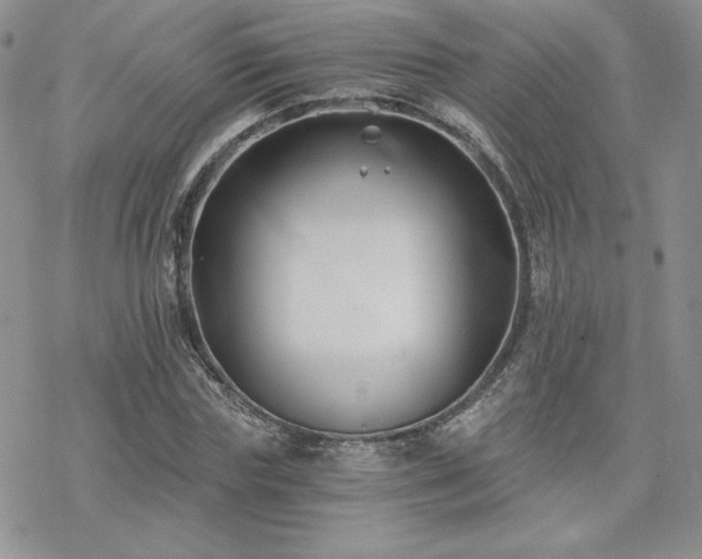 X0000070240827200606051122