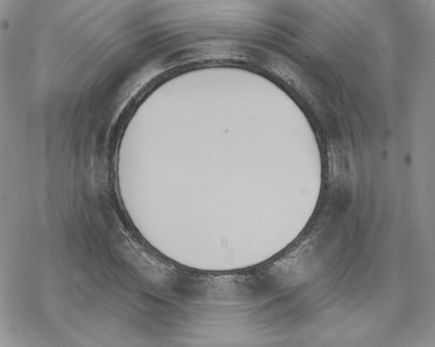 X0000070240828200606051122