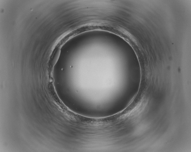 X0000070240829200606051122