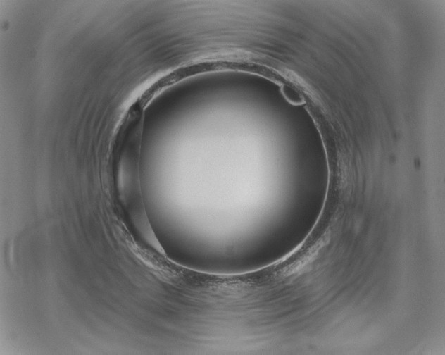 X0000070240830200606051122