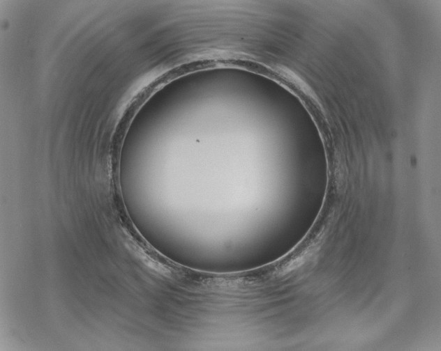 X0000070240831200606051123