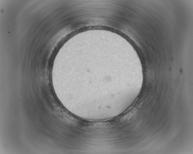 X0000070240832200606051123