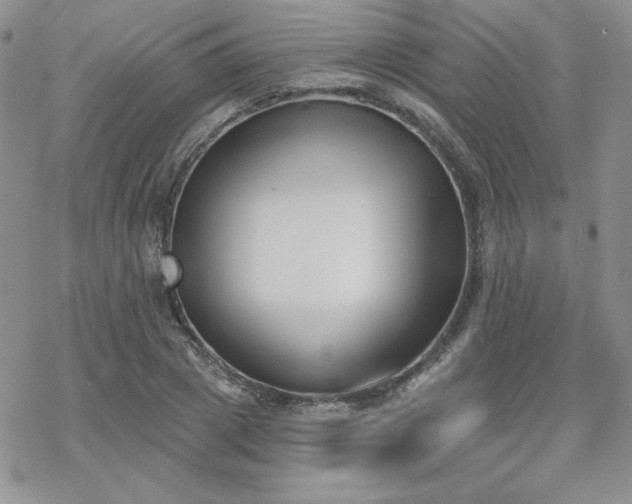 X0000070240833200606051123