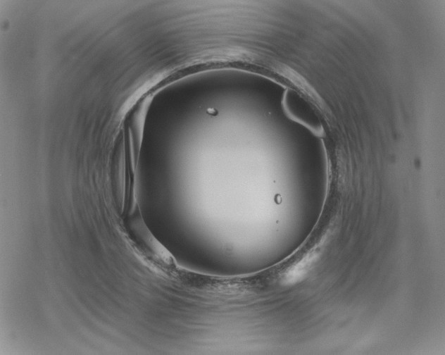 X0000070240834200606051123