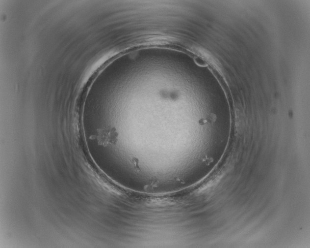 X0000070240835200606051123