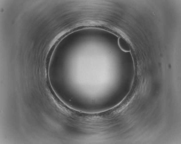 X0000070240837200606051123