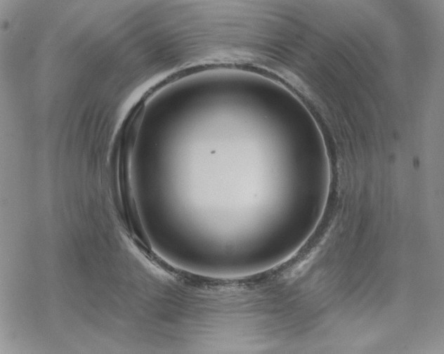 X0000070240838200606051123