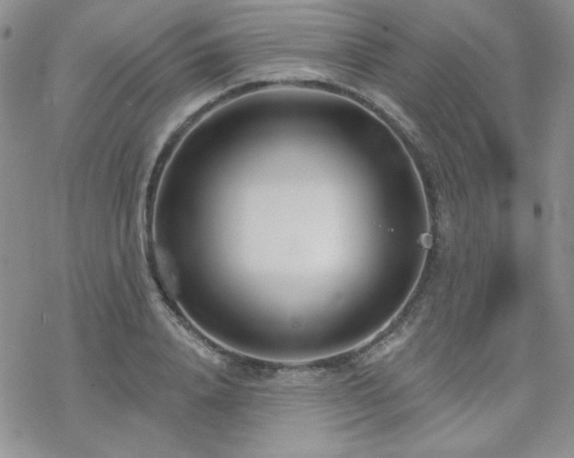 X0000070240840200606051123