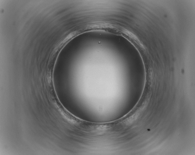 X0000070240841200606051123