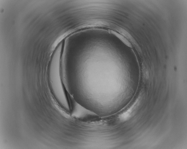 X0000070240842200606051123