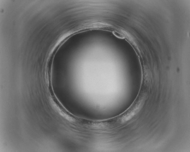 X0000070240843200606051123