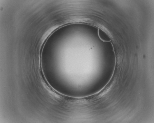 X0000070240844200606051123