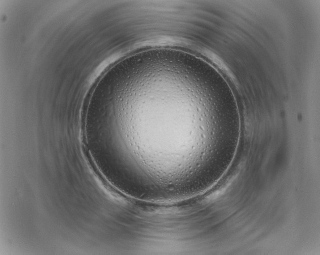 X0000070240845200606051123