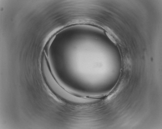 X0000070240846200606051123