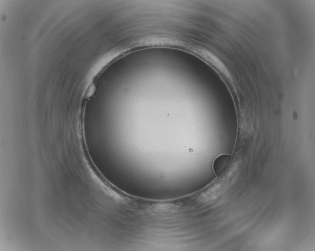 X0000070240847200606051123