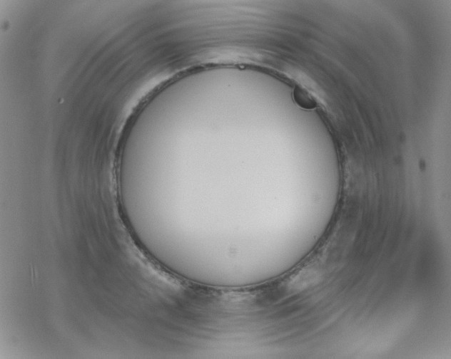 X0000070240848200606051123