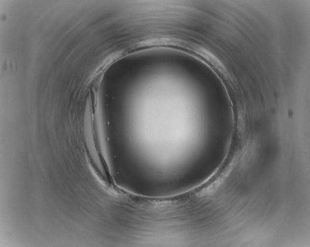 X0000070240849200606051123