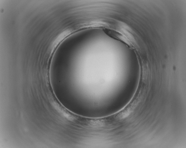 X0000070240850200606051123