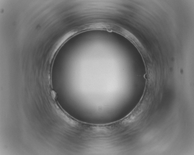 X0000070240852200606051123