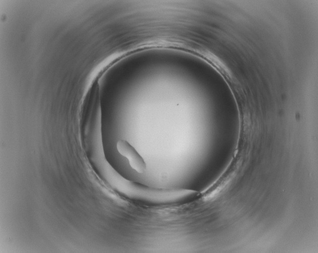 X0000070240854200606051123