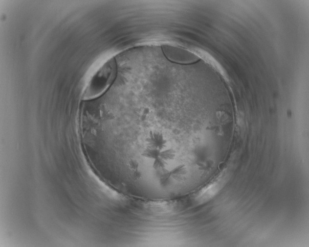 X0000070240855200606051123