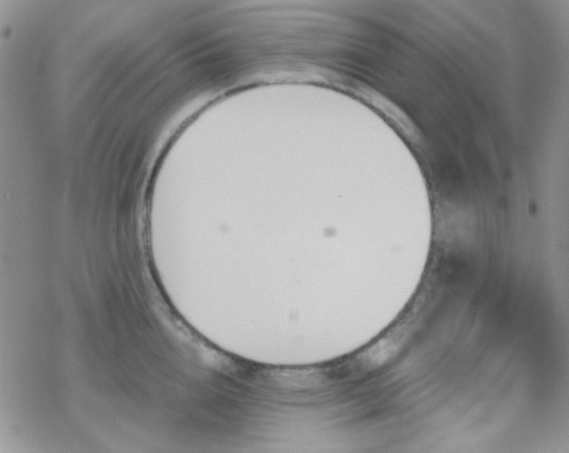 X0000070240856200606051123