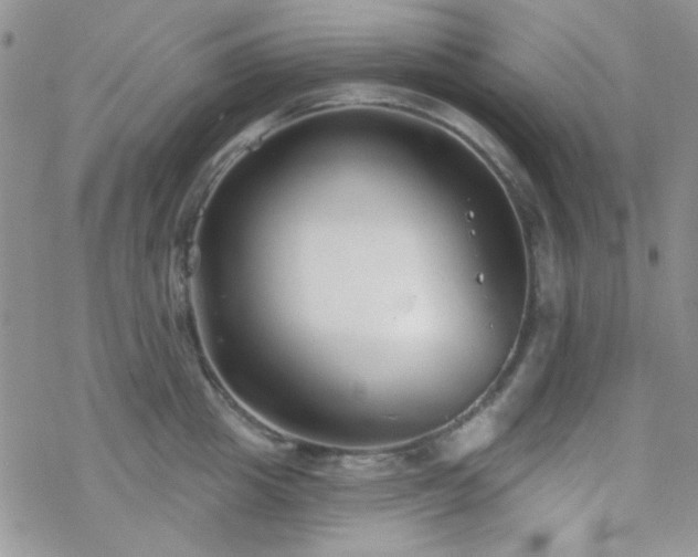 X0000070240857200606051123