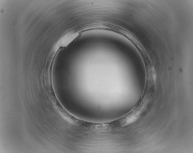 X0000070240858200606051123