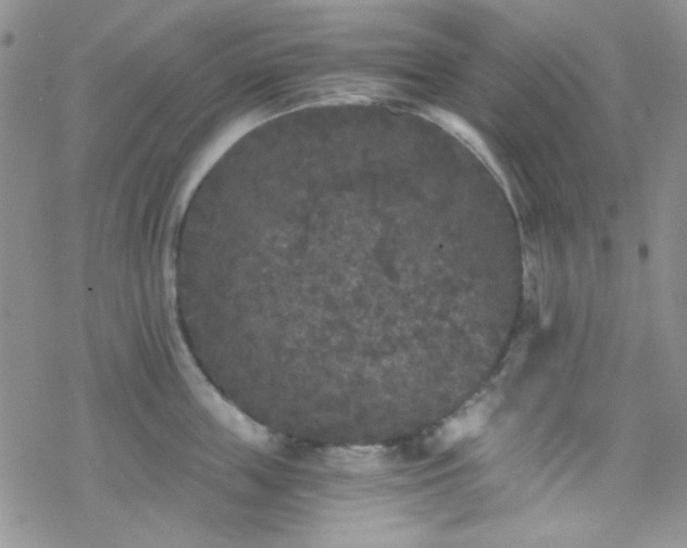 X0000070240859200606051123