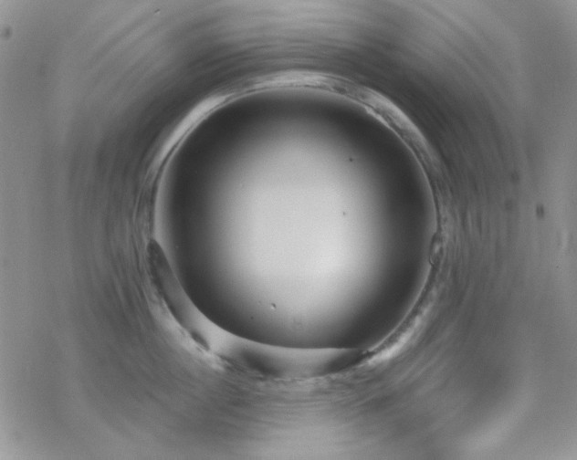 X0000070240860200606051123