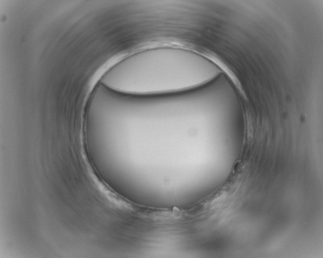 X0000070240861200606051123