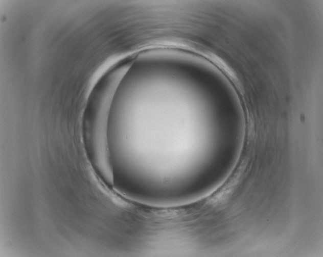 X0000070240862200606051123