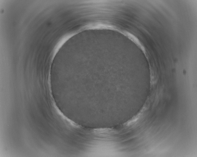 X0000070240863200606051123