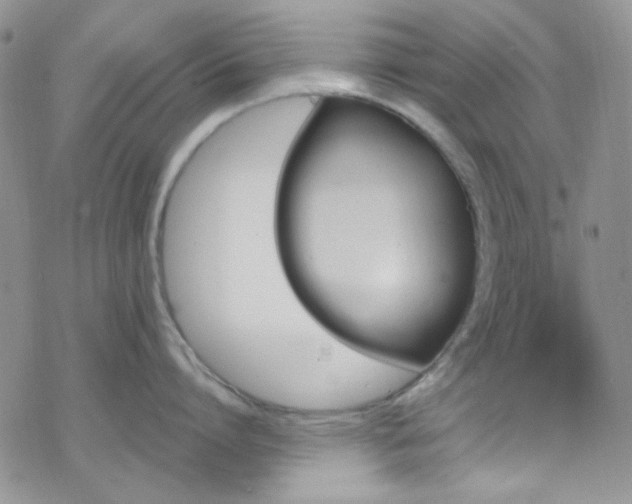 X0000070240864200606051123