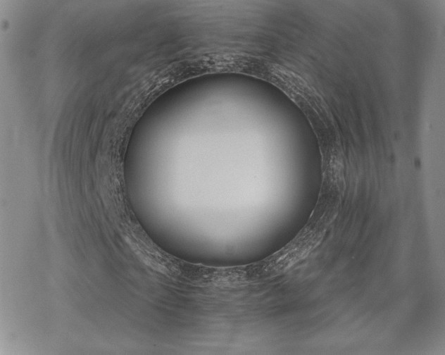 X0000070240865200606051122