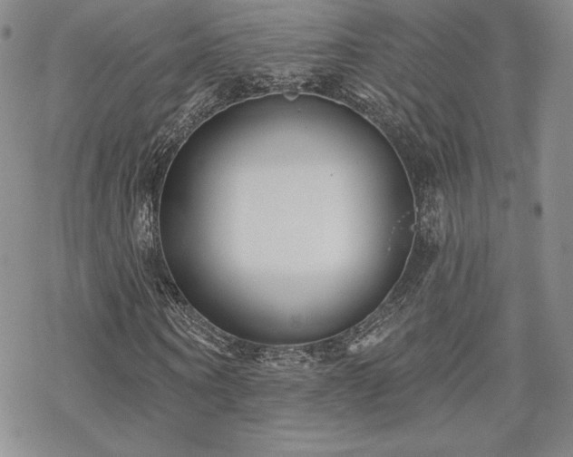 X0000070240866200606051122