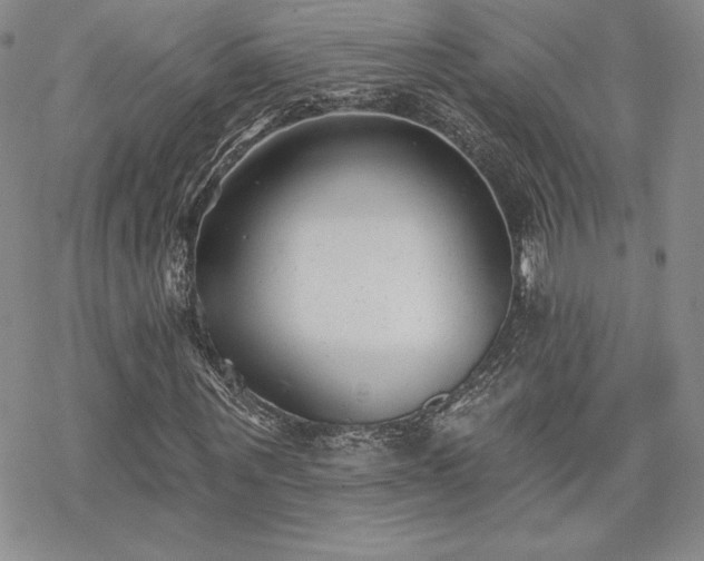 X0000070240867200606051122