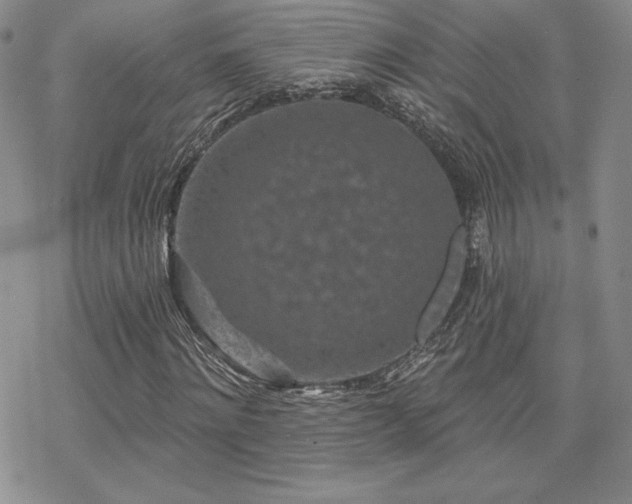 X0000070240868200606051122