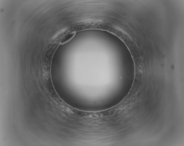 X0000070240869200606051122