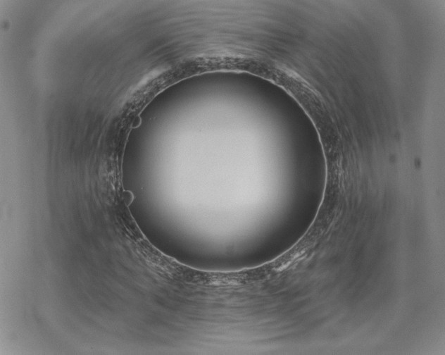 X0000070240870200606051122