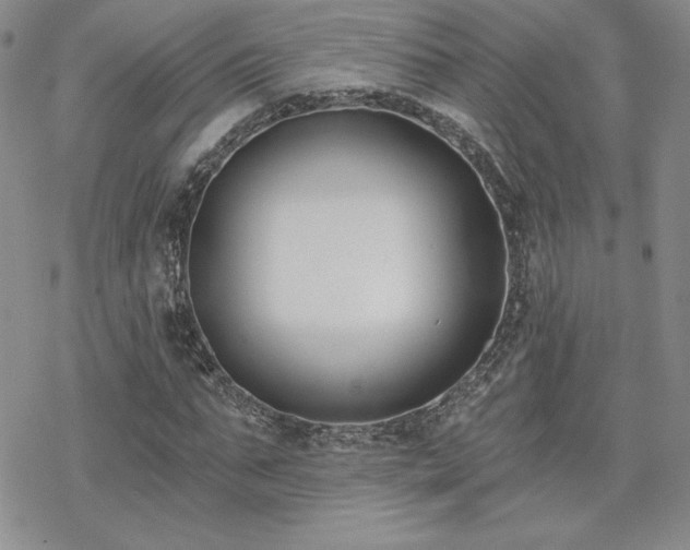 X0000070240871200606051122