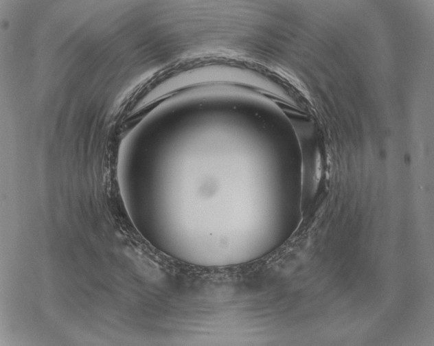 X0000070240872200606051122