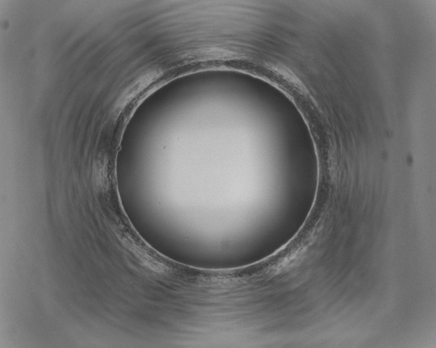 X0000070240873200606051122