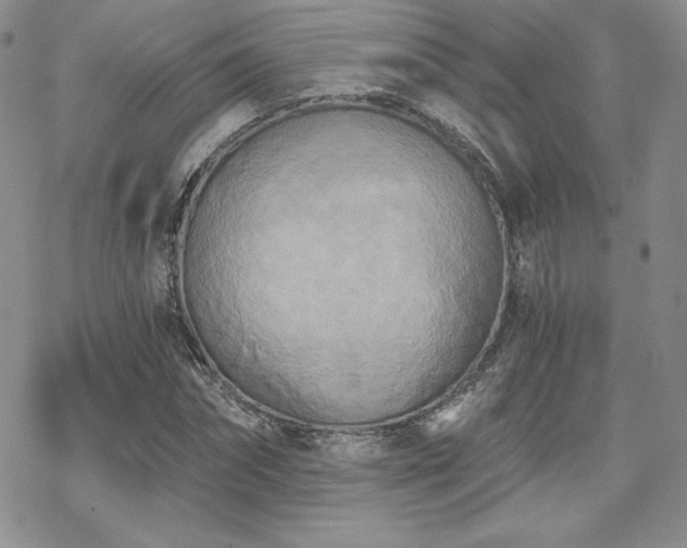 X0000070240874200606051122