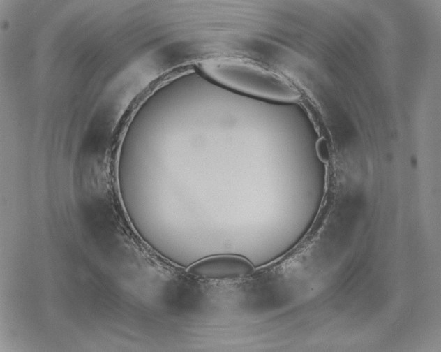 X0000070240875200606051122