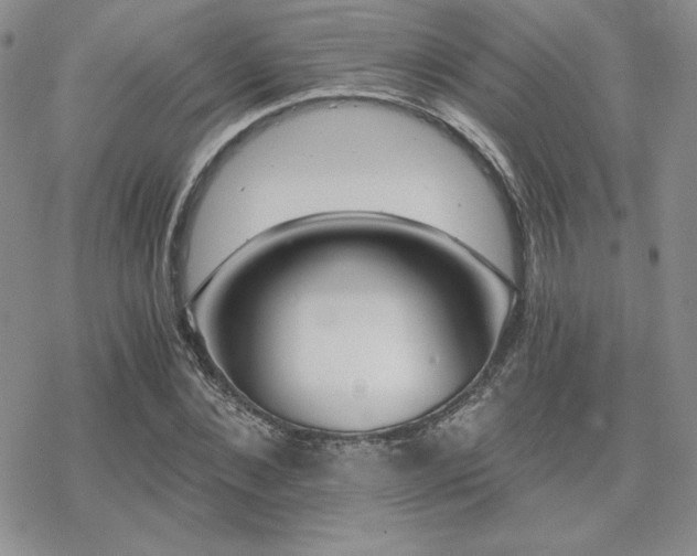 X0000070240876200606051122