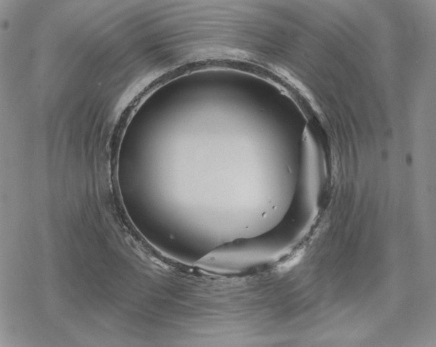 X0000070240877200606051122